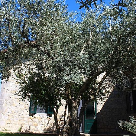 Appartamento Le Tre Palme Frigintini Kültér fotó