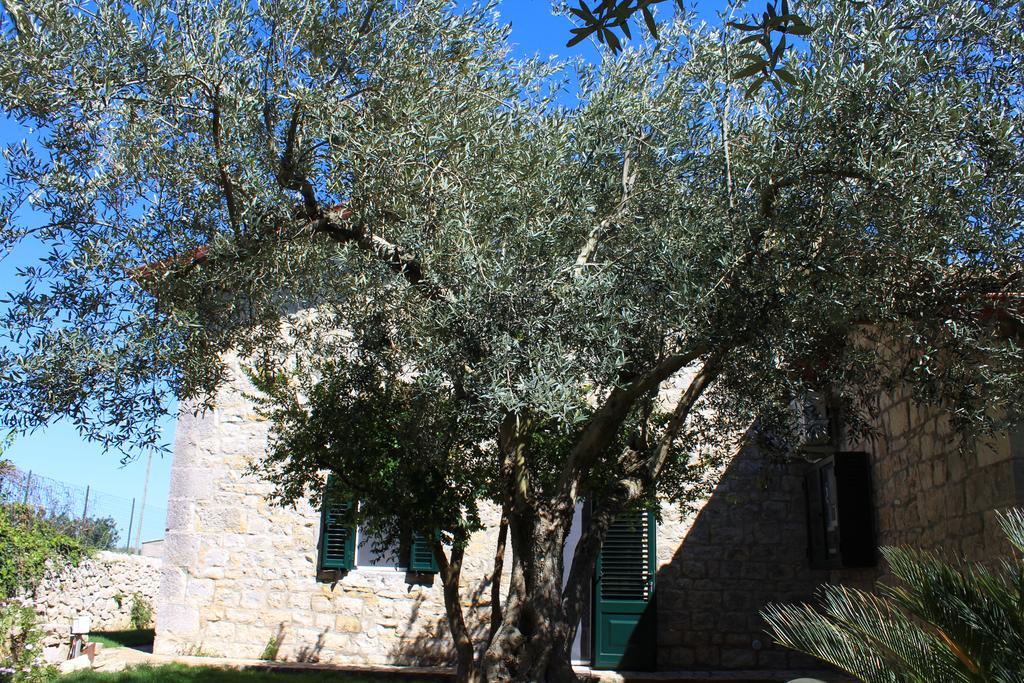 Appartamento Le Tre Palme Frigintini Kültér fotó