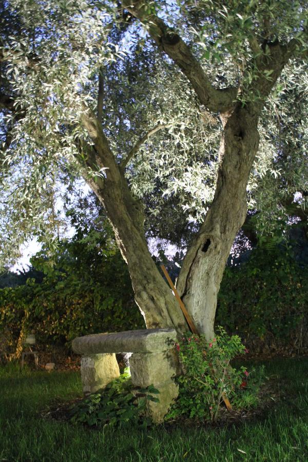 Appartamento Le Tre Palme Frigintini Kültér fotó